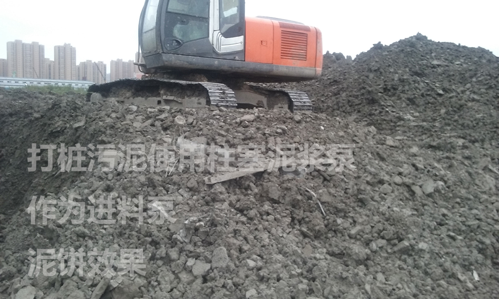 處理后的泥餅2.jpg 處理后的泥餅2.jpg