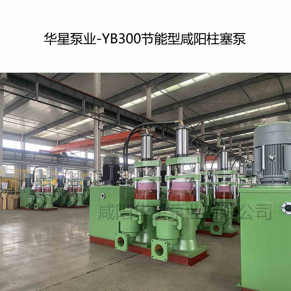 客戶訂購一臺節能型YBH300咸陽柱塞泵