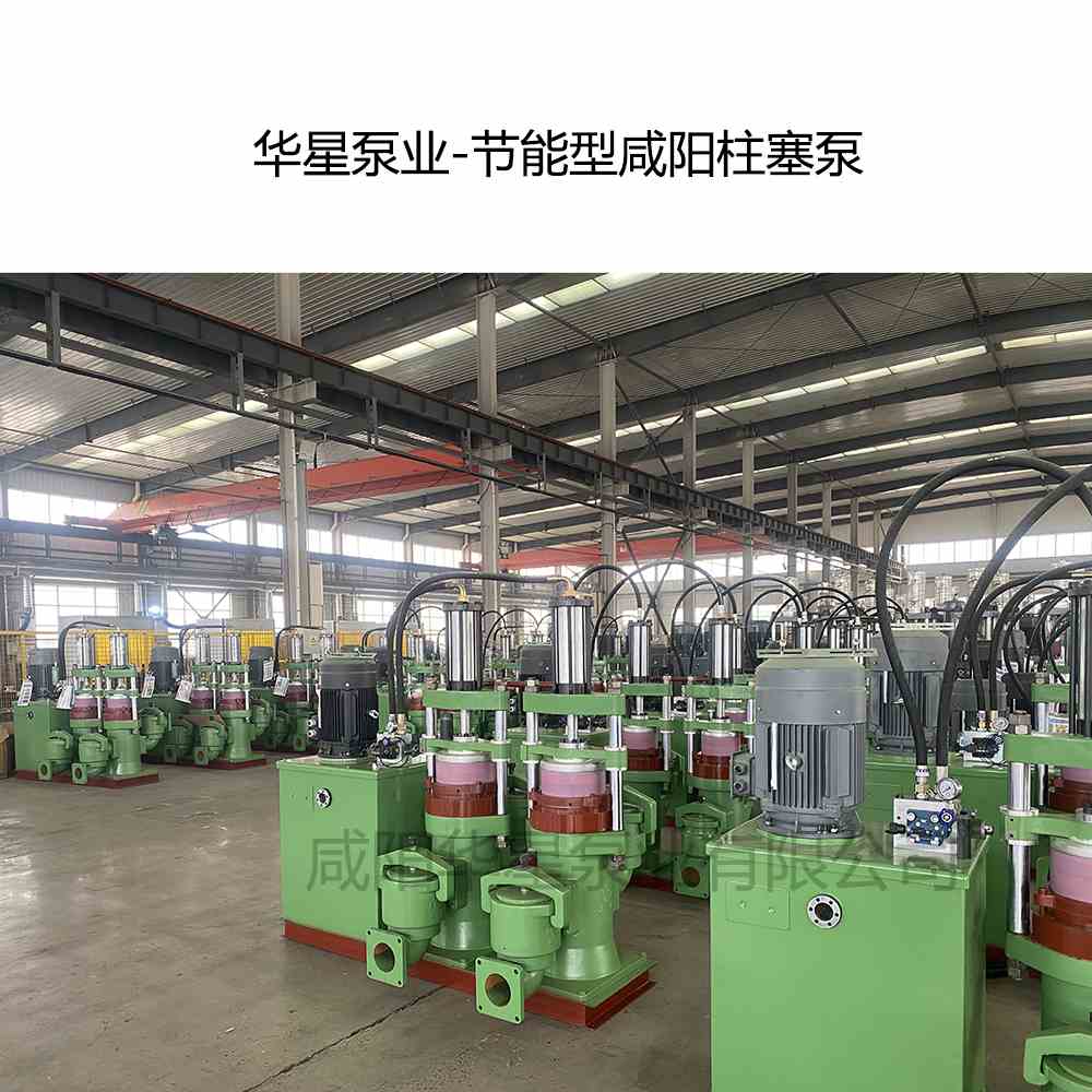 流量40立方的節能型咸陽柱塞泵